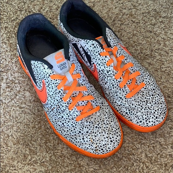 lunar gato safari